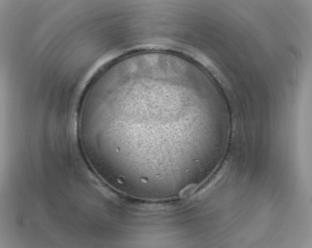 X0000114021232200910161749