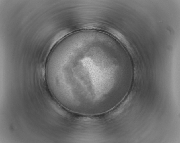 X0000114021234200910161749