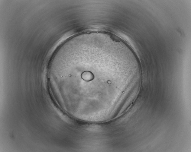 X0000114021235200910161749