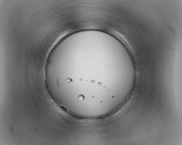 X0000114021236200910161749