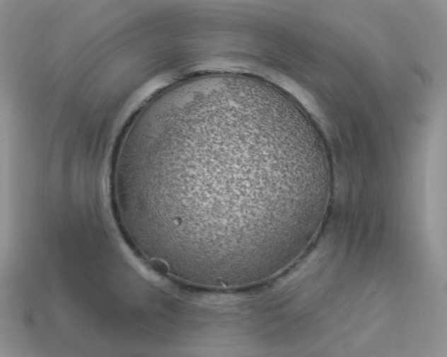 X0000114021237200910161749