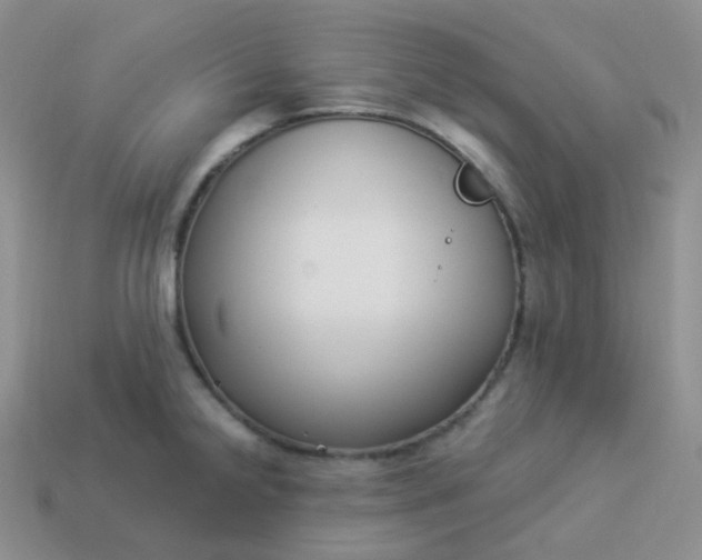 X0000114021238200910161749