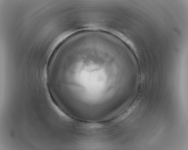 X0000114021239200910161749