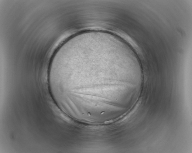 X0000114021240200910161749