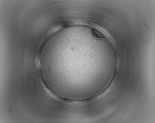 X0000114021241200910161749