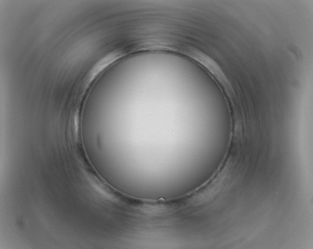 X0000114021242200910161749