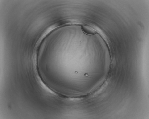 X0000114021243200910161749