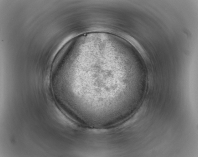 X0000114021244200910161749