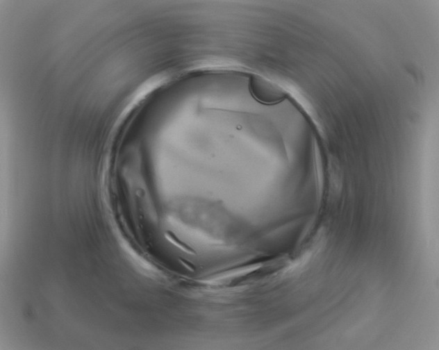 X0000114021245200910161749