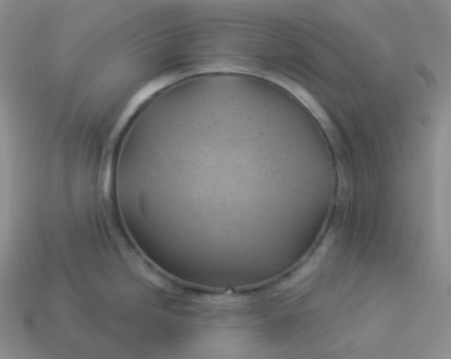 X0000114021246200910161749