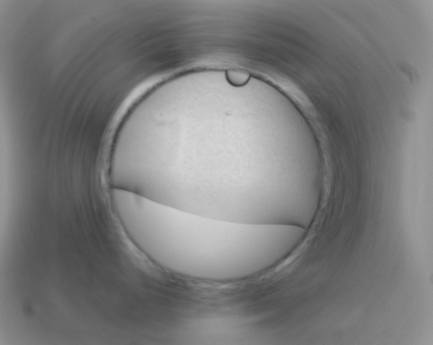 X0000114021248200910161749