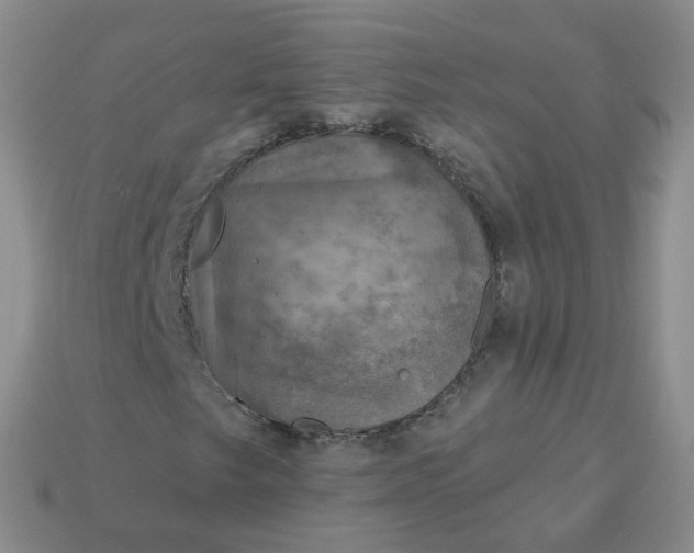 X0000114021249200910161748