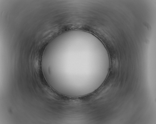 X0000114021250200910161748