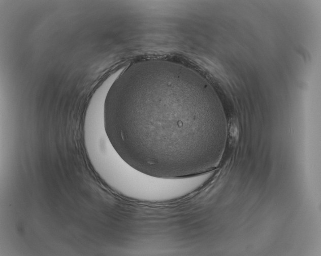 X0000114021252200910161748