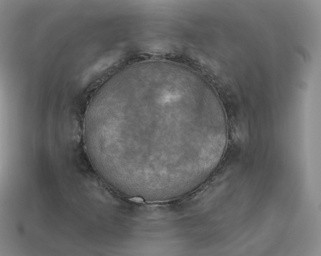 X0000114021253200910161748