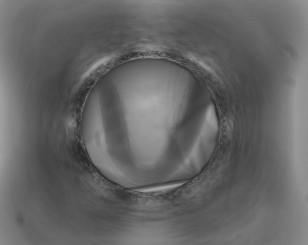 X0000114021254200910161748