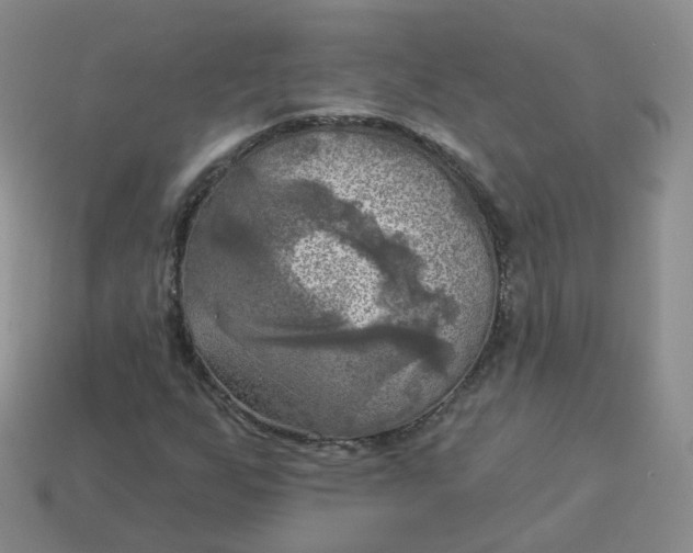 X0000114021255200910161748