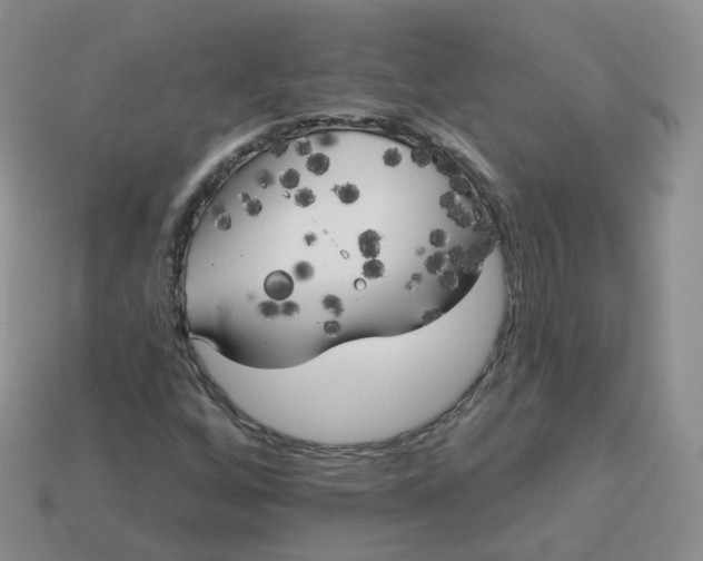 X0000114021256200910161748