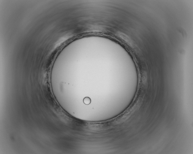 X0000114021258200910161748