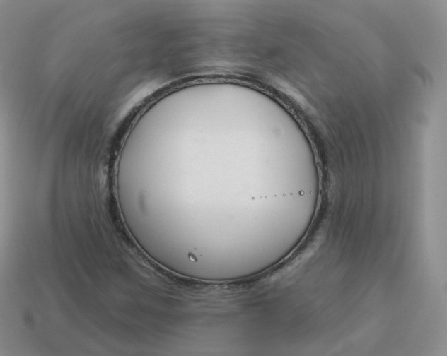 X0000114021259200910161748