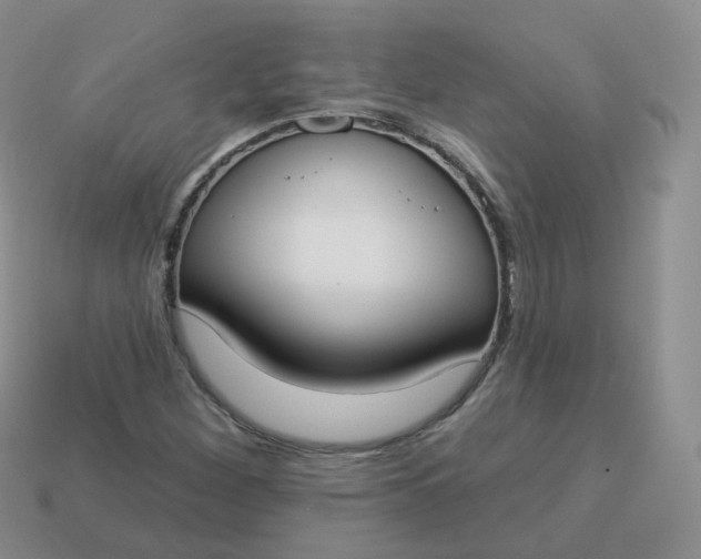 X0000114021260200910161748