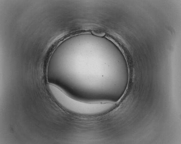 X0000114021261200910161748