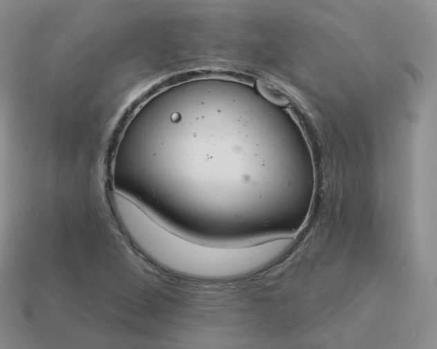 X0000114021264200910161748