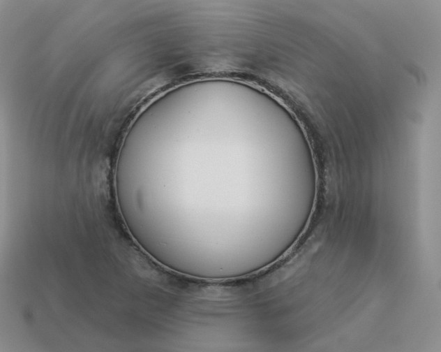 X0000114021265200910161748