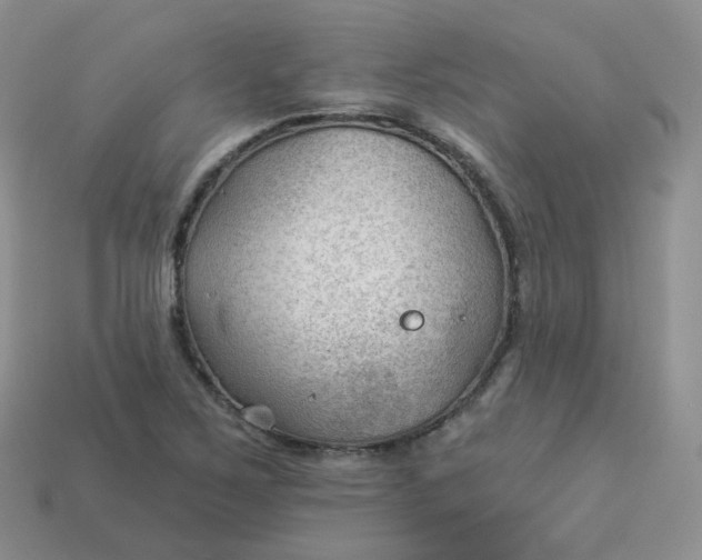 X0000114021267200910161748