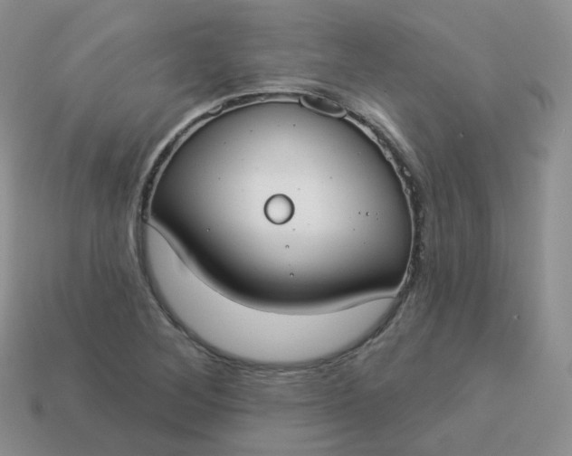 X0000114021268200910161748