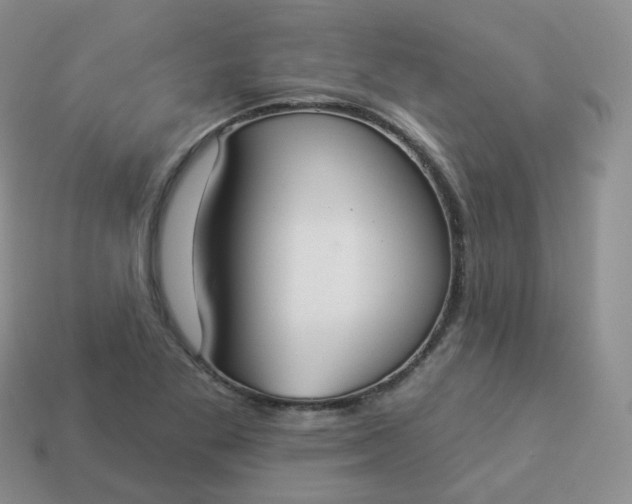 X0000114021269200910161748