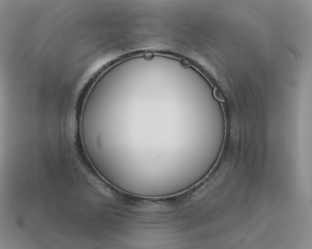 X0000114021270200910161748