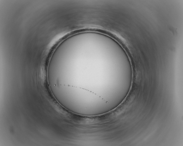 X0000114021271200910161748