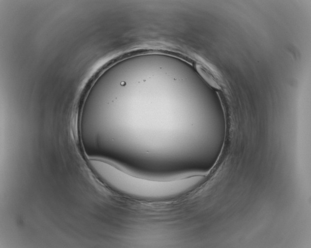 X0000114021272200910161748