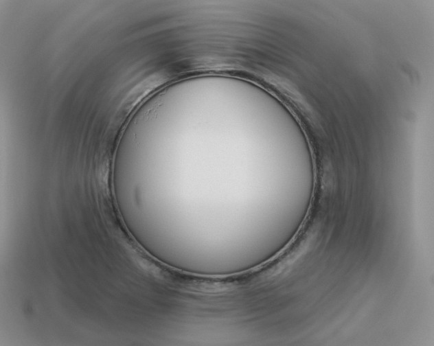 X0000114021273200910161748