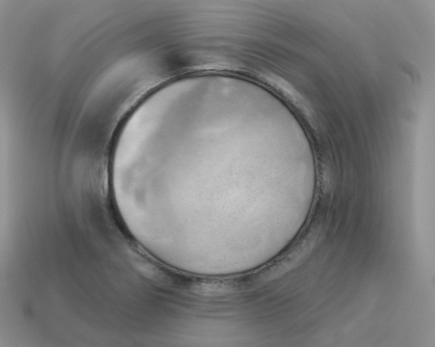 X0000114021274200910161748