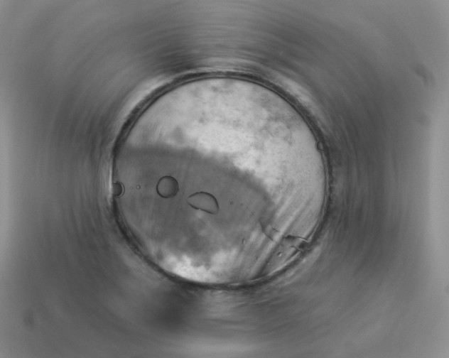 X0000114021275200910161748