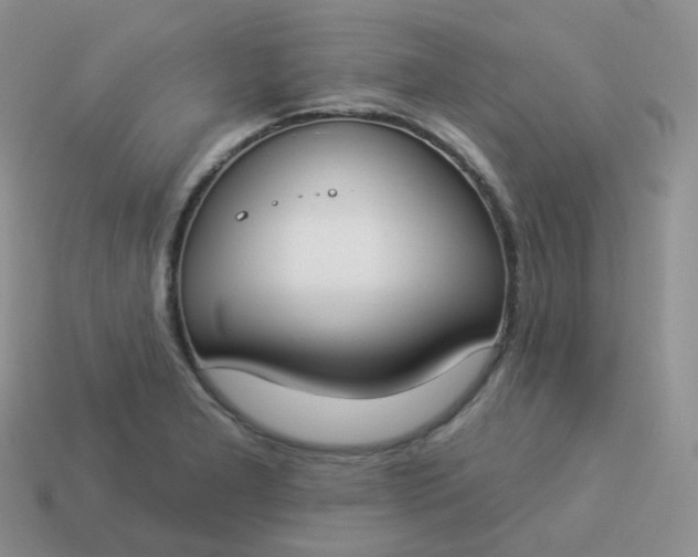 X0000114021277200910161748