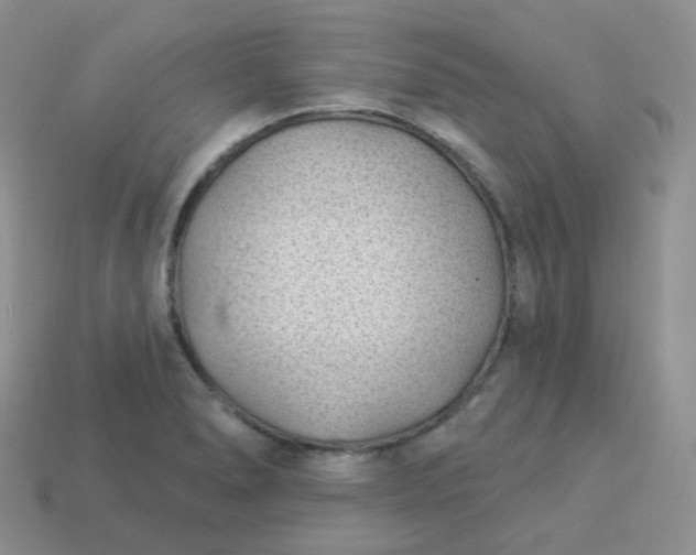 X0000114021278200910161748