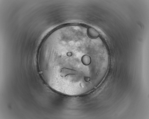 X0000114021279200910161748