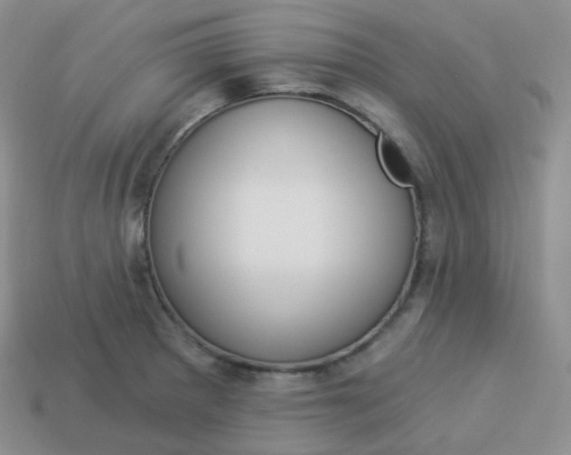 X0000114021281200910161748