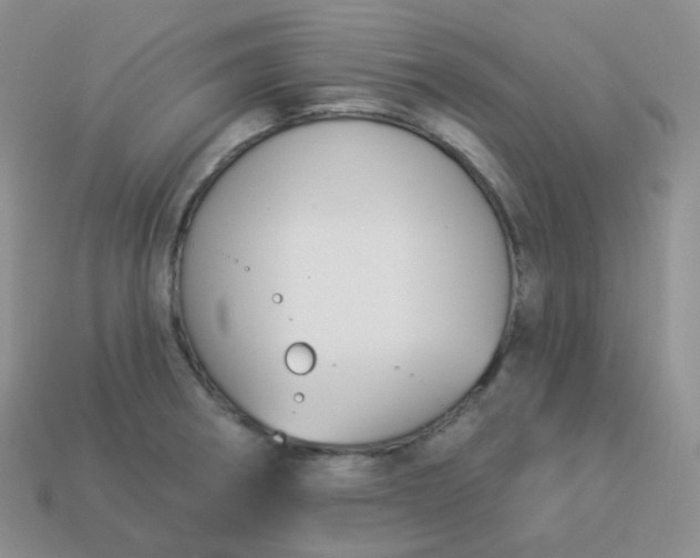 X0000114021282200910161748