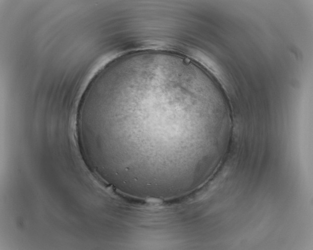 X0000114021283200910161748