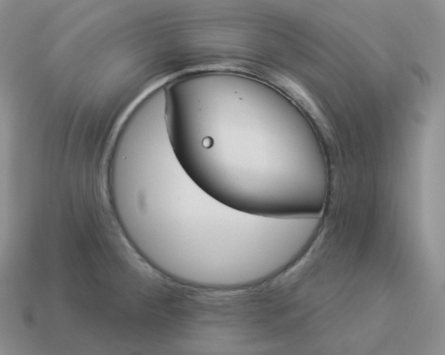 X0000114021284200910161748