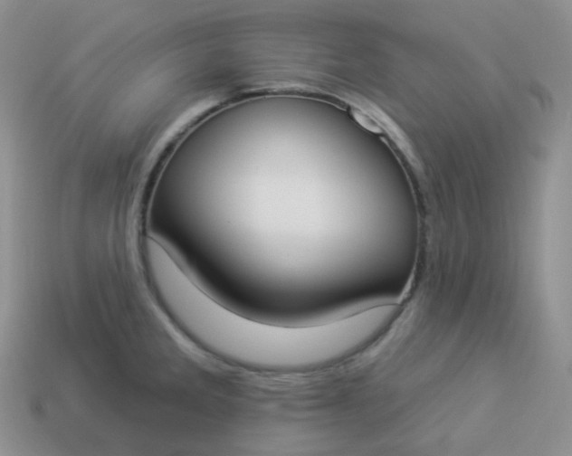 X0000114021285200910161748