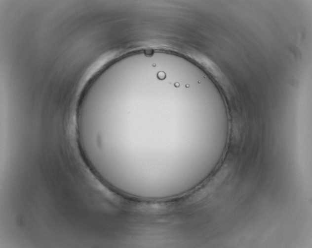 X0000114021286200910161748