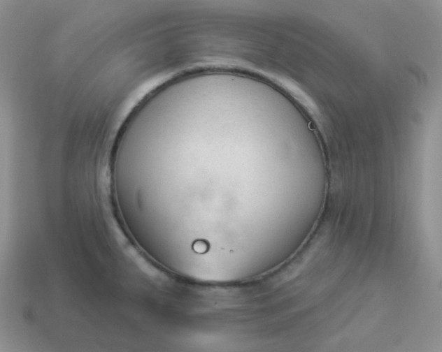 X0000114021287200910161748