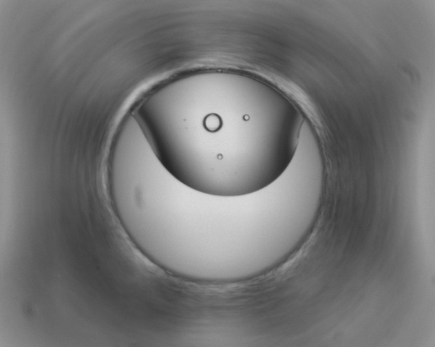 X0000114021288200910161748