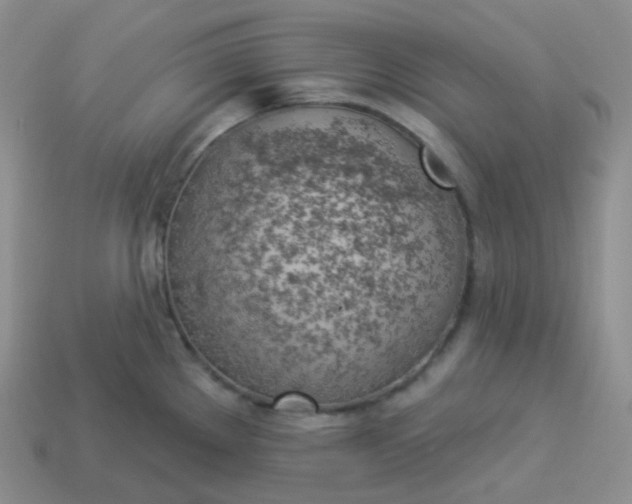 X0000114021289200910161748