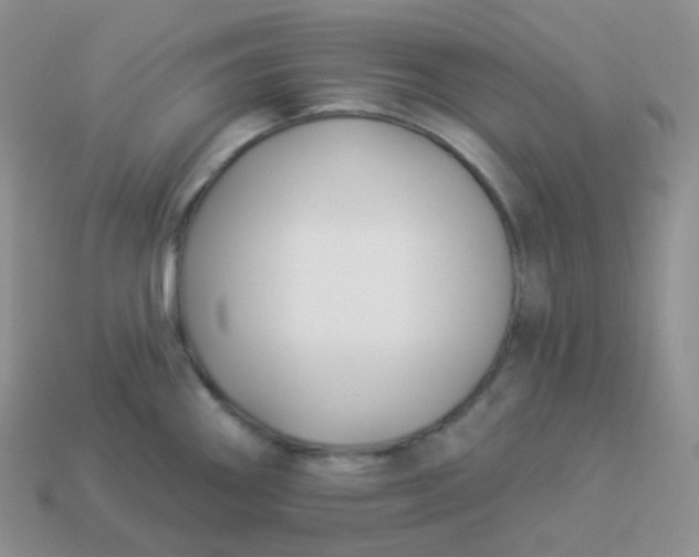 X0000114021290200910161748